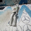 16/23MERCEDES-BENZ W212 AIRBAG CURTAIN/SIDE (PASSENGER SIDE) A2128604102 FM173