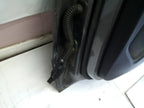 MERCEDES BENZ A CLASS W176 DRIVER SIDE REAR DOOR ( OFF SIDE REAR ) FMD20
