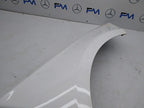 MERCEDES  A-CLASS W177 OS RIGHT DRIVER SIDE WINGS FMW17 A1778890100